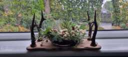 Handmade Solid Oak & Roe Deer Antlers Centerpiece With Winter Wreath Led Candle .all Other Accesories Not Included - thumbnail 1