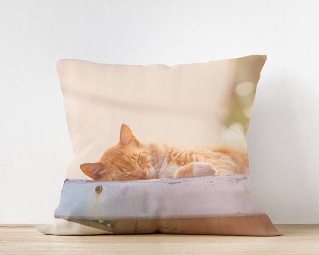 Cat Pillow - Kitten Cushion Nap Pillow Sleepy Cat Orange Tabby Sleeping - image 1