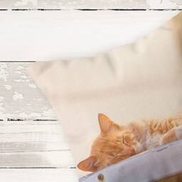 Cat Pillow - Kitten Cushion Nap Pillow Sleepy Cat Orange Tabby Sleeping - thumbnail 2