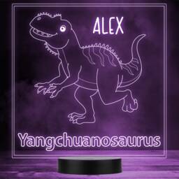 Kids Cute Dinosaur Fan Yangchuanosaurus Led Personalised Gift Night Light