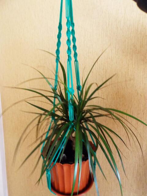 Macrame Plant Holder 28 Inches 3mm - Green Strong Hanging Planter Indoor Outdoor Macrame Wall Hanging Planter Pattern - image 1