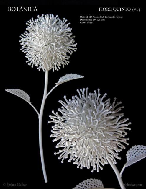 Fiore Quinto - 3D Printed Filigree Flower By Joshua Harker