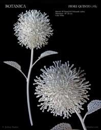 Fiore Quinto - 3D Printed Filigree Flower By Joshua Harker