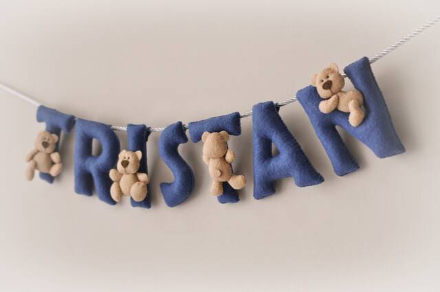 Baby Wall Art, Felt Name Banner, Teddy Nursery Decor, Personalized Gift, Sign, Baby Garland, Shower Boy Gift - image 1
