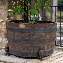 Bronze Lion Plant Pot Feet - Set Of 3, British Garden Decor - thumbnail 3
