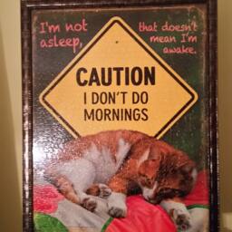 Professionally Framed 1000Pc Sunsout I Don't Do Mornings Puzzle Wall Art & Decor - thumbnail 2