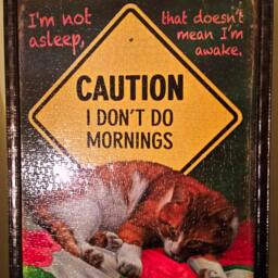 Professionally Framed 1000Pc Sunsout I Don't Do Mornings Puzzle Wall Art & Decor - thumbnail 3