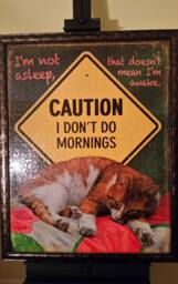 Professionally Framed 1000Pc Sunsout I Don't Do Mornings Puzzle Wall Art & Decor - thumbnail 1