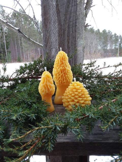 Michigan Beeswax Candle Set Morel & Pinecone, Farmhouse Cabin Decor - image 1