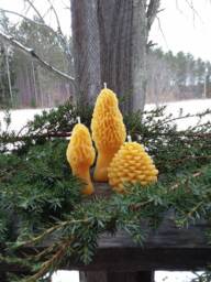 Michigan Beeswax Candle Set Morel & Pinecone, Farmhouse Cabin Decor - thumbnail 1