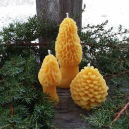 Michigan Beeswax Candle Set Morel & Pinecone, Farmhouse Cabin Decor - thumbnail 2