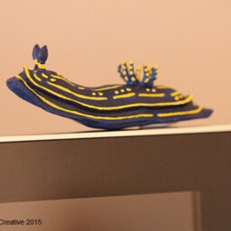 Feli The Nudibranch - Felimare Picta - thumbnail 2