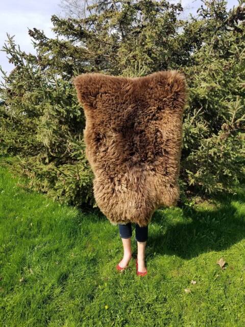 Sheepskin Rug Scandinavian Soft Dense Wool Brown Color 100% Natural - image 1