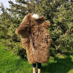 Sheepskin Rug Scandinavian Soft Dense Wool Brown Color 100% Natural - thumbnail 2