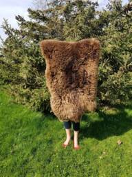 Sheepskin Rug Scandinavian Soft Dense Wool Brown Color 100% Natural - thumbnail 1