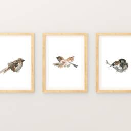 Watercolor Birds Print Set Archival Paper Wall Art - thumbnail 3