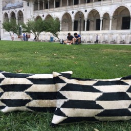 Set Of 2 Ikat Velvet Pillow Covers Black White Handwoven Silk Cushions - thumbnail 2