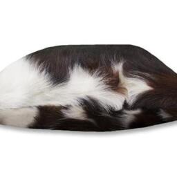 Tri-Colored Cowhide Pillow Case - thumbnail 2