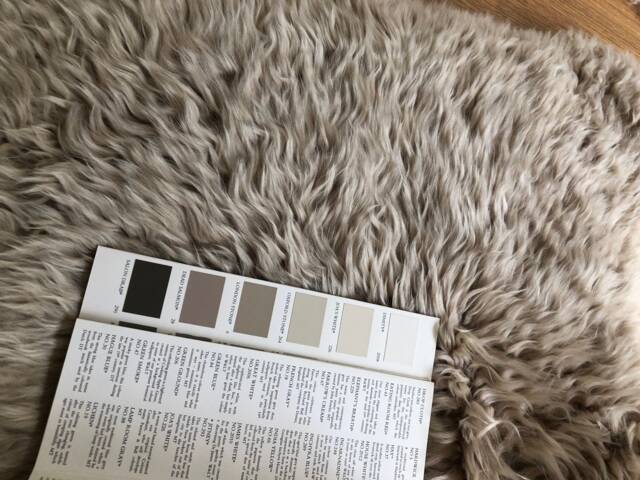 Sheepskin Rug , String Colour Neutral, Soft Pale Taupe Fur, Chair Cover Bed Single Sheepskin - image 1