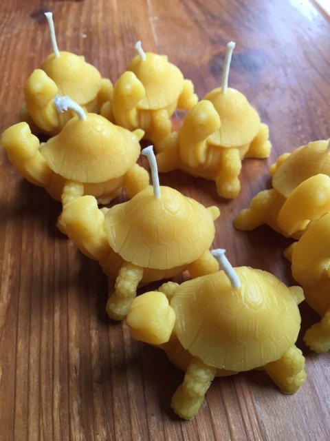 Beeswax Turtle Candle - image 1