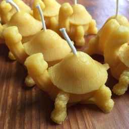 Beeswax Turtle Candle - thumbnail 2