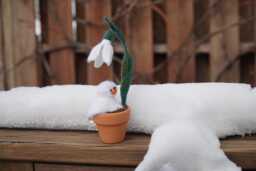 Melted Snowman & Snowdrop Flower in A Tiny Ceramic Pot Needle Felted Art Collectible