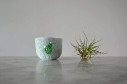 Felted Wool Bowl - Prickly Pear Cactus With White Flowers Gifts For Gardeners, Nature Lovers, Spring Ring Dish, Air Plant Planter