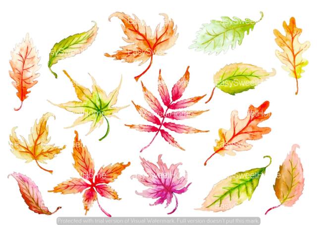 Leaf Decals Orange 14-Set, Removable Fall Wall Decals, Furniture Bathroom Stickers, Hand-Painted Leaves - image 1