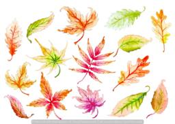 Leaf Decals Orange 14-Set, Removable Fall Wall Decals, Furniture Bathroom Stickers, Hand-Painted Leaves - thumbnail 1