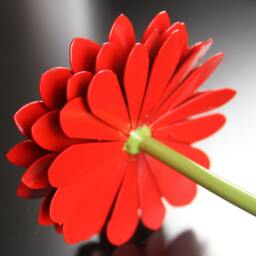 Metal Daisy, Red Fourth Anniversary, 4Th 6Th Steel Flower, 11Th Flower Anniversary - thumbnail 3