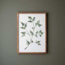 Watercolor Eucalyptus Art Print, Leaf Painting - thumbnail 1