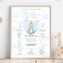 Peter Rabbit On The Day You Were Born Personalised Baby Keepsake Print - Newborn Boy Gift Custom Birth Details New Mum - thumbnail 2
