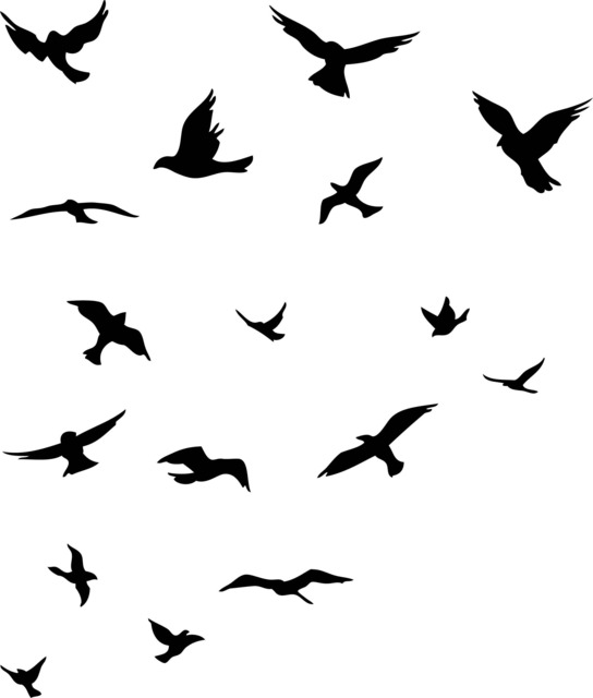 Flock Of Birds Printable Wall Art