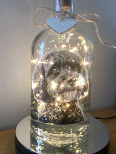 Cockapoo Light Up Bottle, Bottle Lamp With Gift Messaging Service & Bag