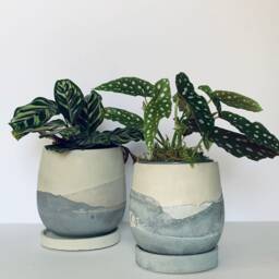Handmade Concrete Plant Pot Desert Mountain Design - thumbnail 2