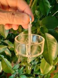 Bird Feeder Ant Trap Natural Deterrent