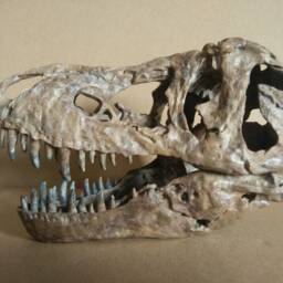 New, 17cm???dinosaur Model/T-Rex Skull Small Model Xb-18101 - thumbnail 2