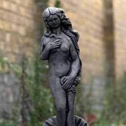 Outdoor Venus Concrete Garden Statue Birth Of Sculpture Concrete Girl Decoration Cement Renaissance Figurine Elegant Ornament - thumbnail 2