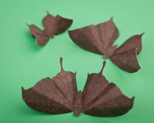 Brown Boho Butterfly Nursery Wall Art in Chocolate Damask, Earth Child Decor - image 1