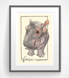 Bashful Fiona The Hippo Watercolor Art Print, Animals, Zoo, Cincinnati - thumbnail 2
