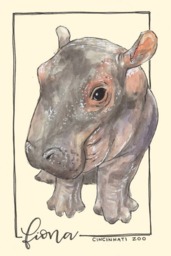 Bashful Fiona The Hippo Watercolor Art Print, Animals, Zoo, Cincinnati - thumbnail 1