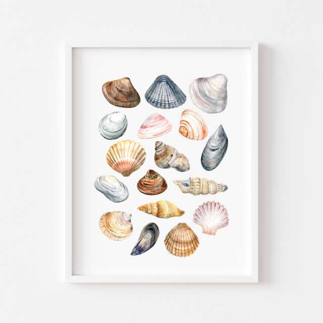 Seashells Watercolour Coastal Summer Unframed Wall Art Poster Print - image 1