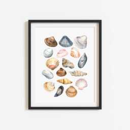 Seashells Watercolour Coastal Summer Unframed Wall Art Poster Print - thumbnail 2
