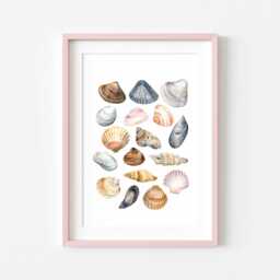 Seashells Watercolour Coastal Summer Unframed Wall Art Poster Print - thumbnail 3