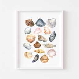 Seashells Watercolour Coastal Summer Unframed Wall Art Poster Print - thumbnail 1
