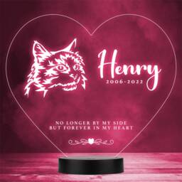 Cat Pet Loss Memorial Forever in My 2 Personalised Gift Colour Night Light - Bedroom Lamp