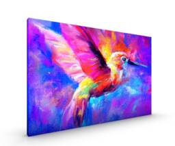 Colourful Hummingbird Abstract Canvas Framed Glossy Premium With Metal Hanger Various Sizes - thumbnail 1