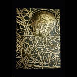 Uintacrinus Fossil Crinoid Etched in Brass On Artblock - thumbnail 2