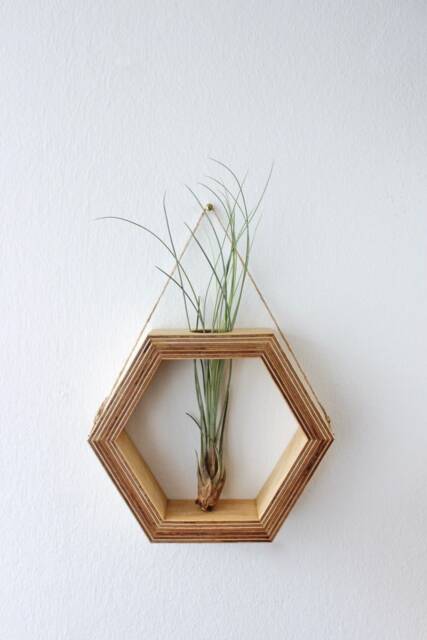 Hexagon Shaped Planter For Wall Made Out Of Wood With Glass Tube - Flowers/Propagation Station Plants Decor Flower Vase - image 1