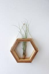 Hexagon Shaped Planter For Wall Made Out Of Wood With Glass Tube - Flowers/Propagation Station Plants Decor Flower Vase - thumbnail 1